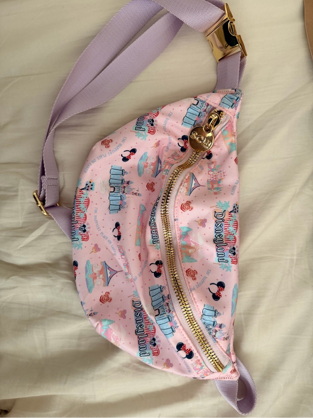 Disney Stoney clover Disneyland parks belt bag